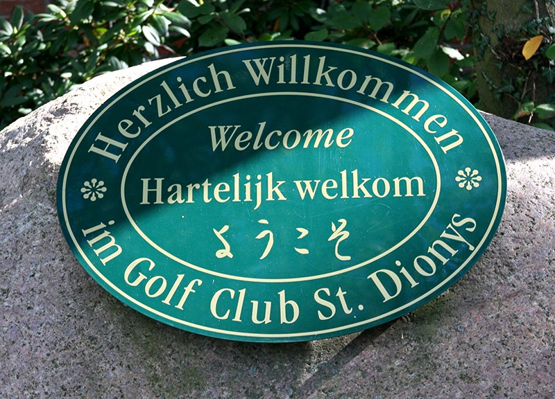 Galeriebild