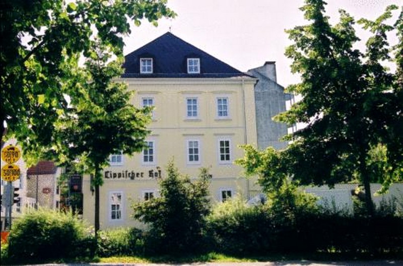 Galeriebild