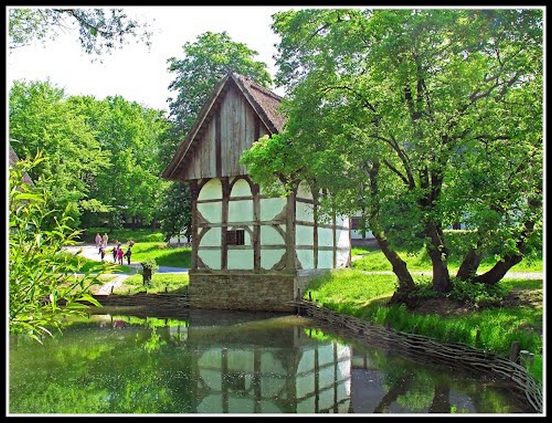 Galeriebild