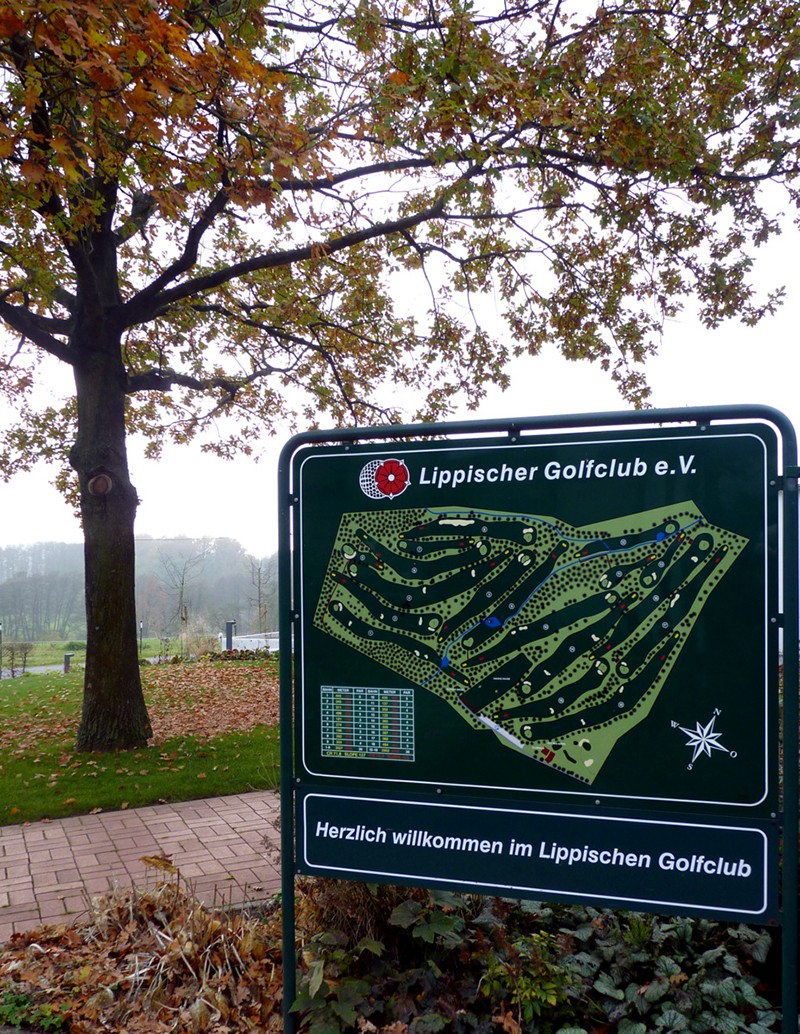 Galeriebild