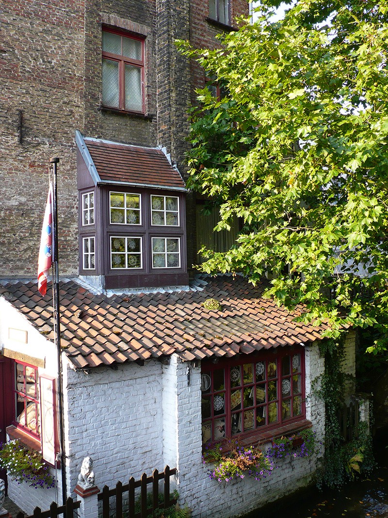 Galeriebild