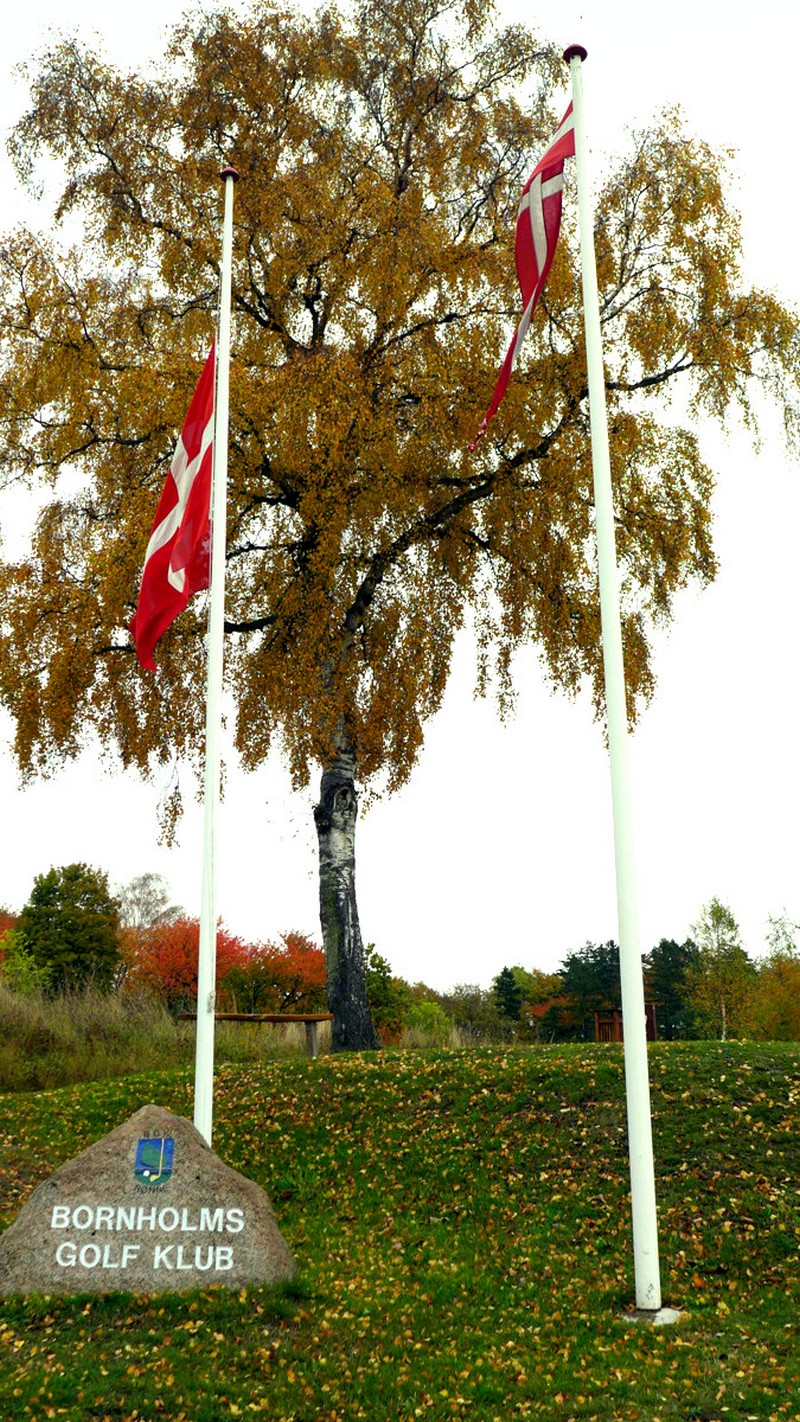 Galeriebild