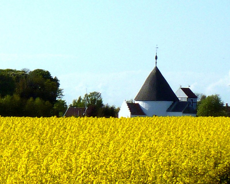 Galeriebild