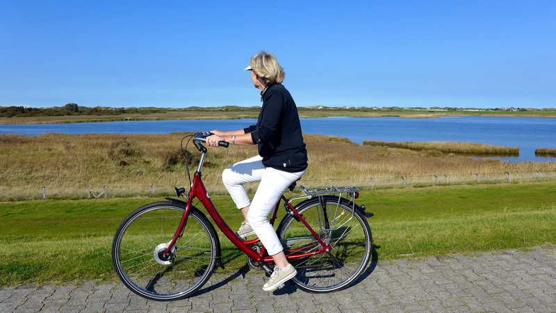 Galeriebild