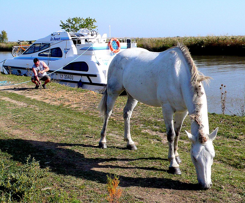 Mit dem Hausboot zum Golfen in der Camargue